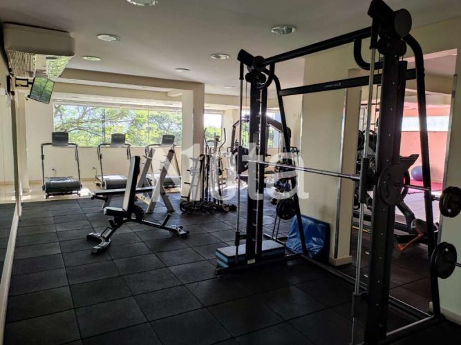 APARTAMENTO - ZONA 1