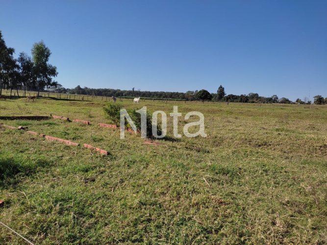 CHACARA - ZONA RURAL 
