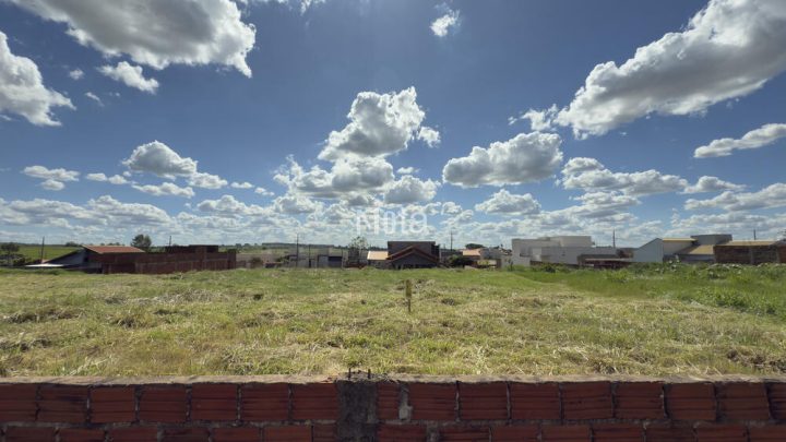 TERRENO - BELAS ARTES