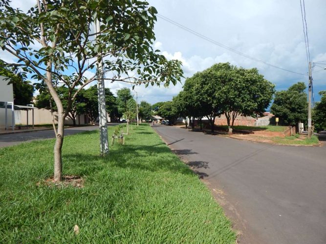 TERRENO -  JARDIM VITÓRIA 