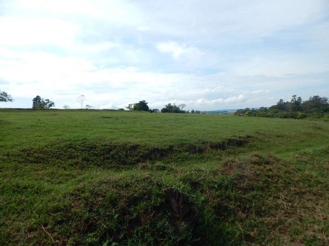 CHÁCARA - RODOVIA 