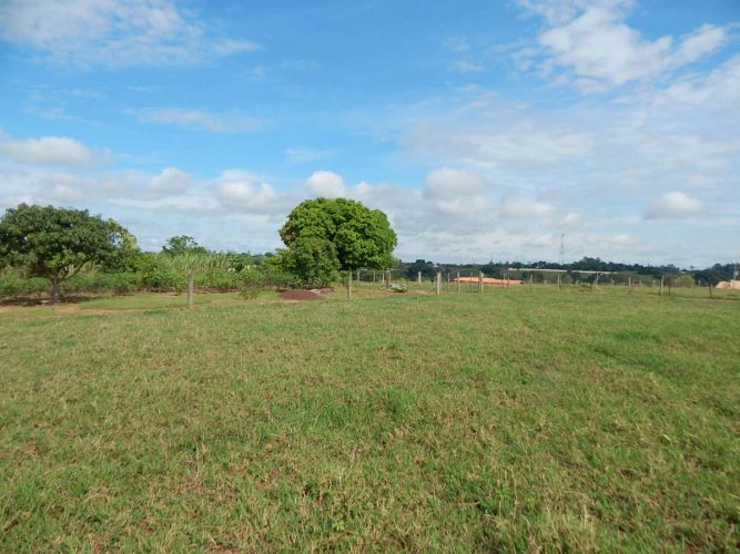 CHÁCARA - RODOVIA 