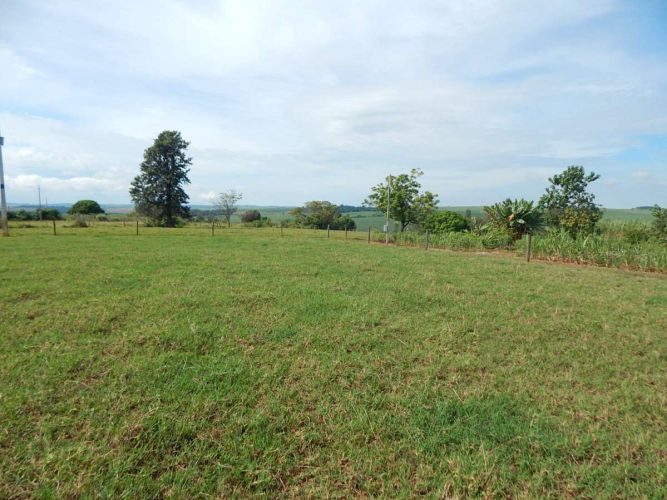 CHÁCARA - RODOVIA 